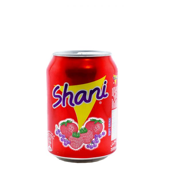 Shani Fruit Flavour Soda Can 300ml