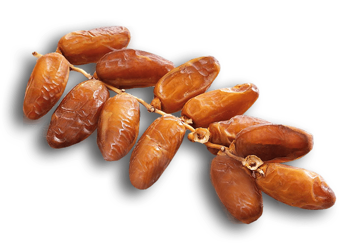 Haddoud Salim Branch Deglet Dates 907g