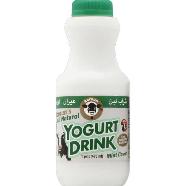 Karoun Yogurt Mint 16oz