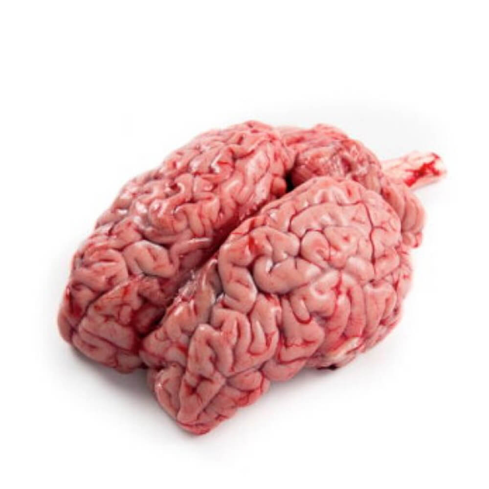 Veal Brain